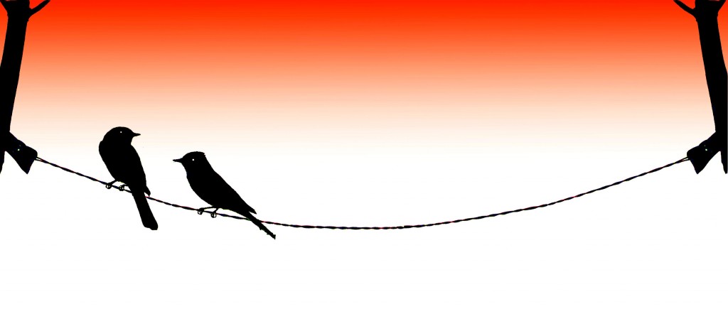 two-birds-on-a-wire-007